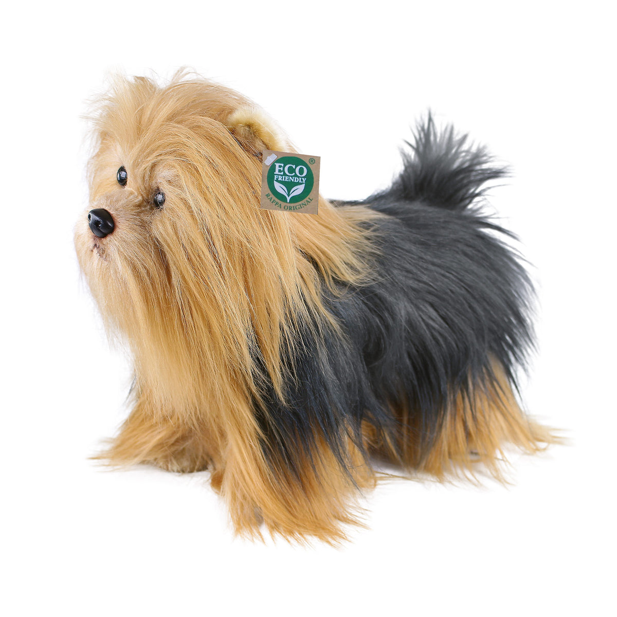 Plush Yorkshire terrier standing 30 cm