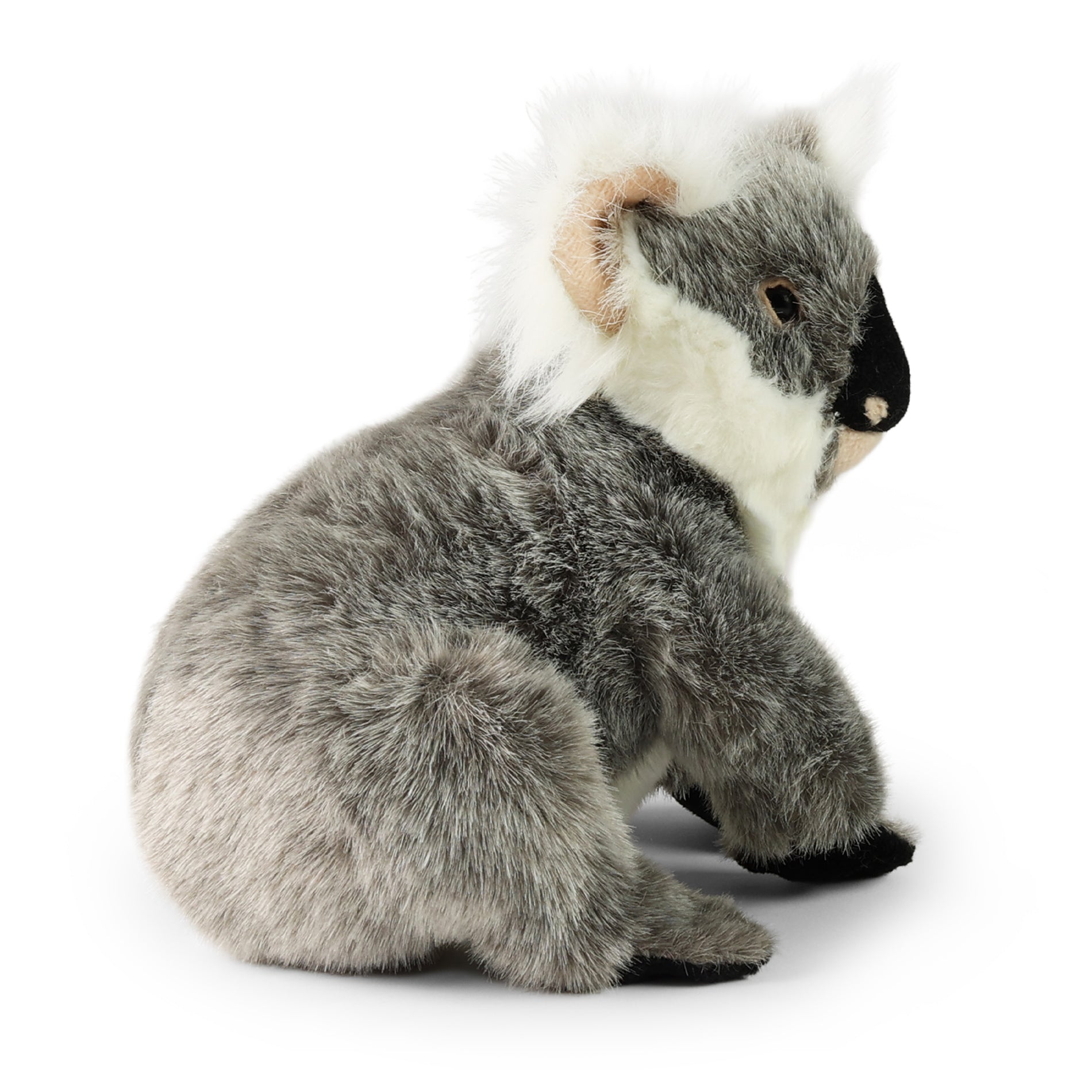 Plush koala 25 cm
