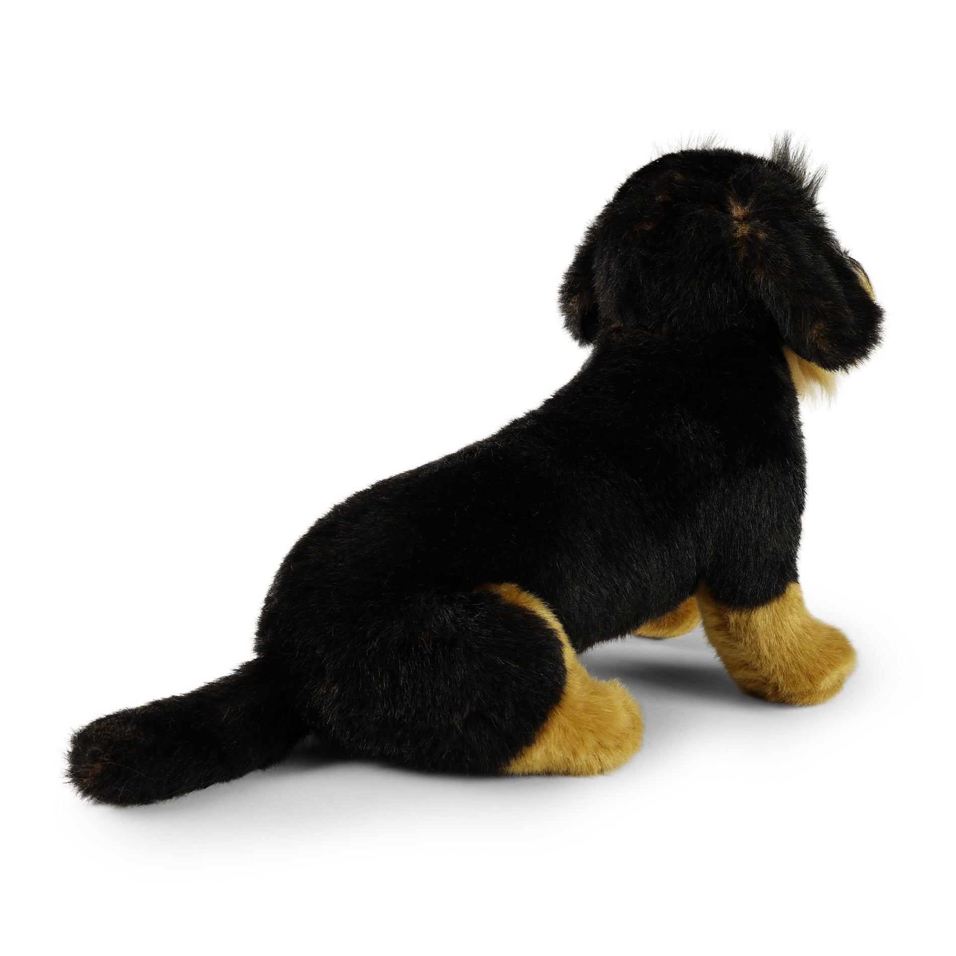 Plush Wirehaired Dachshund sitting 30 cm