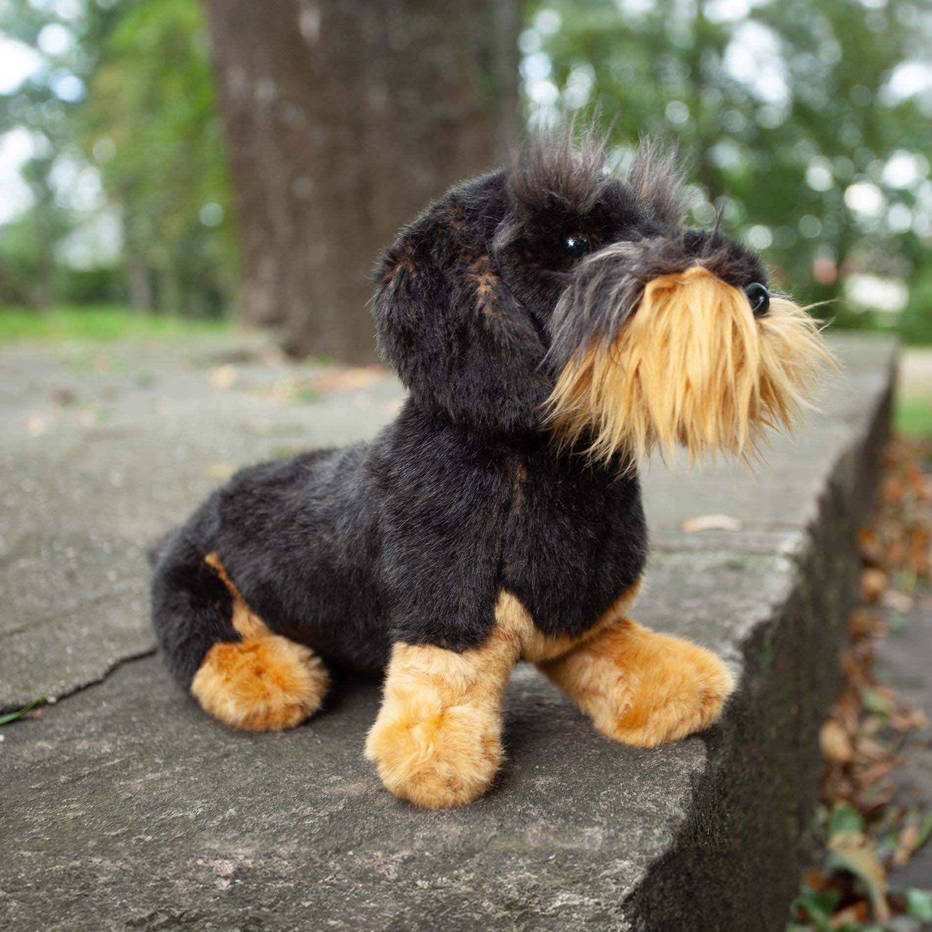 Plush Wirehaired Dachshund sitting 30 cm