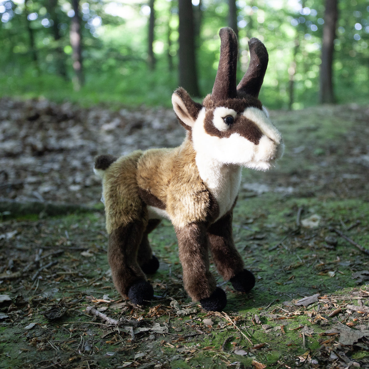 Plush chamois 20 cm