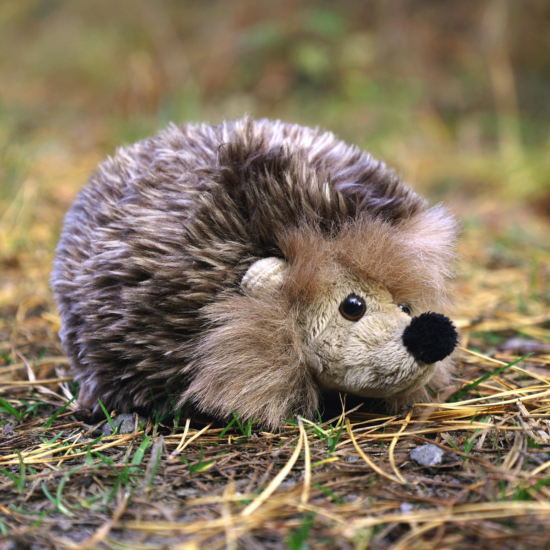 Plush hedgehog 17 cm