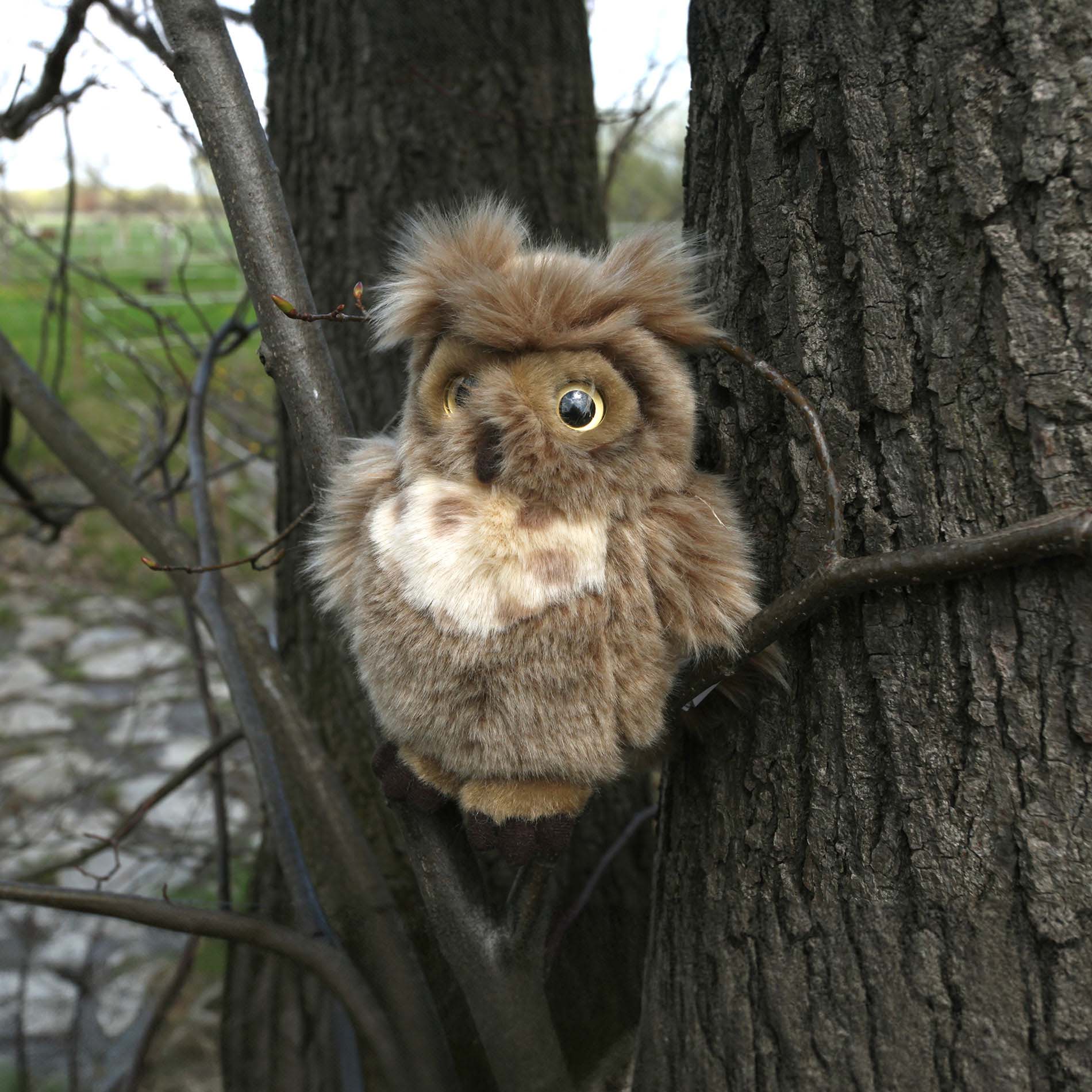 Plush Virginia owl 17 cm