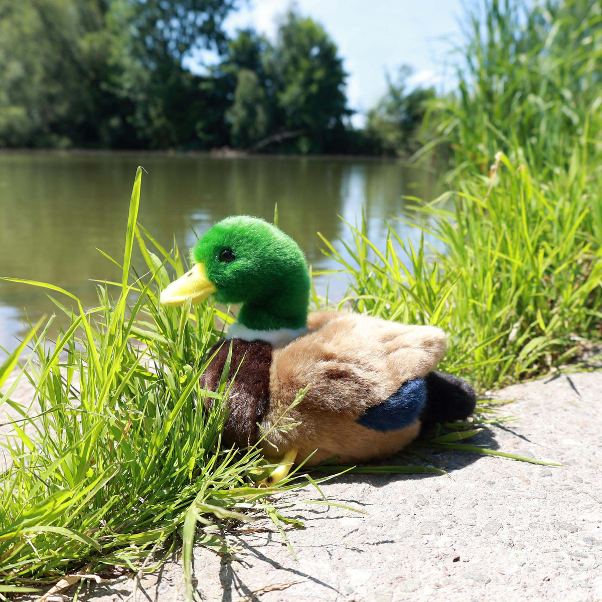 Plush mallard duck 22 cm