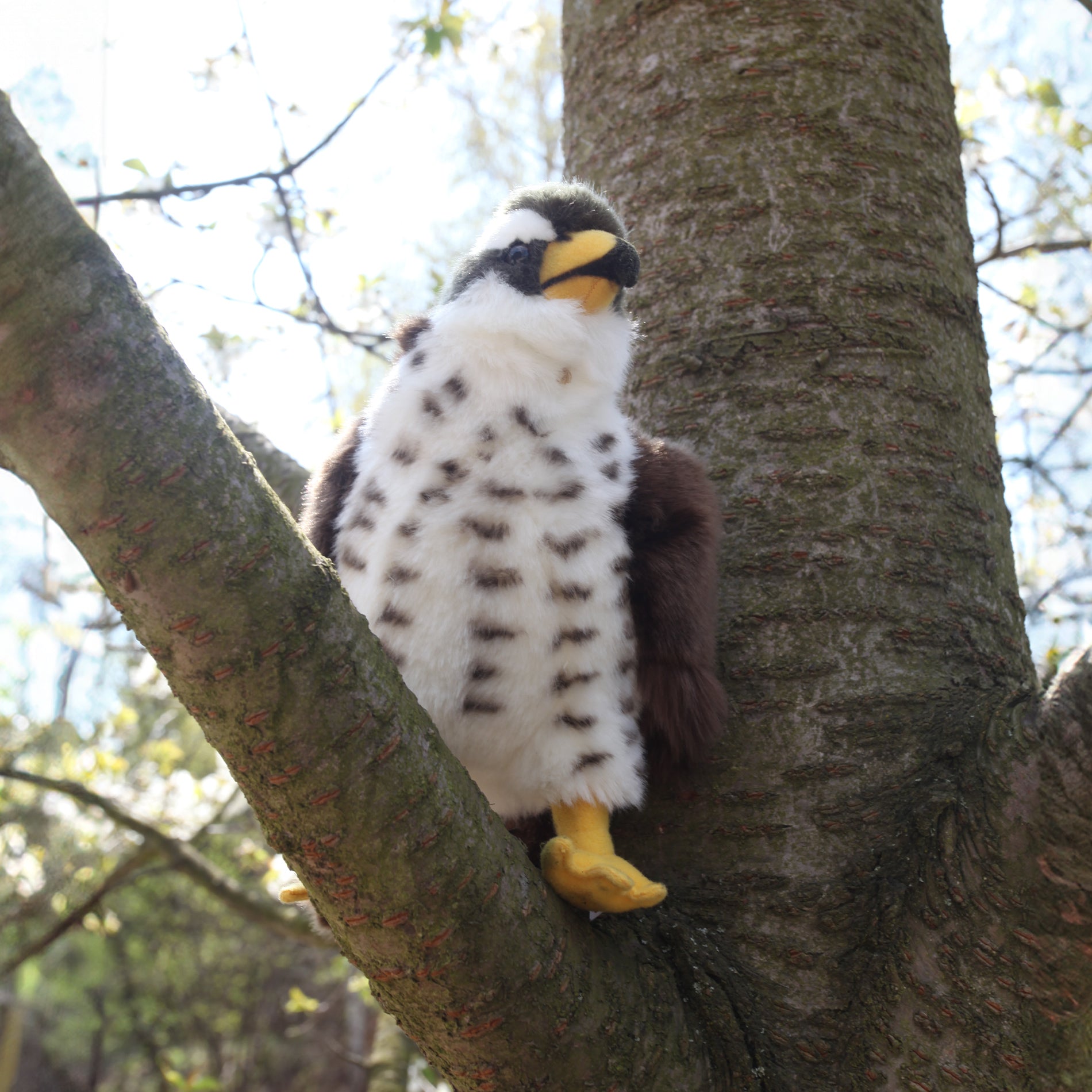 Plush hawk 23 cm