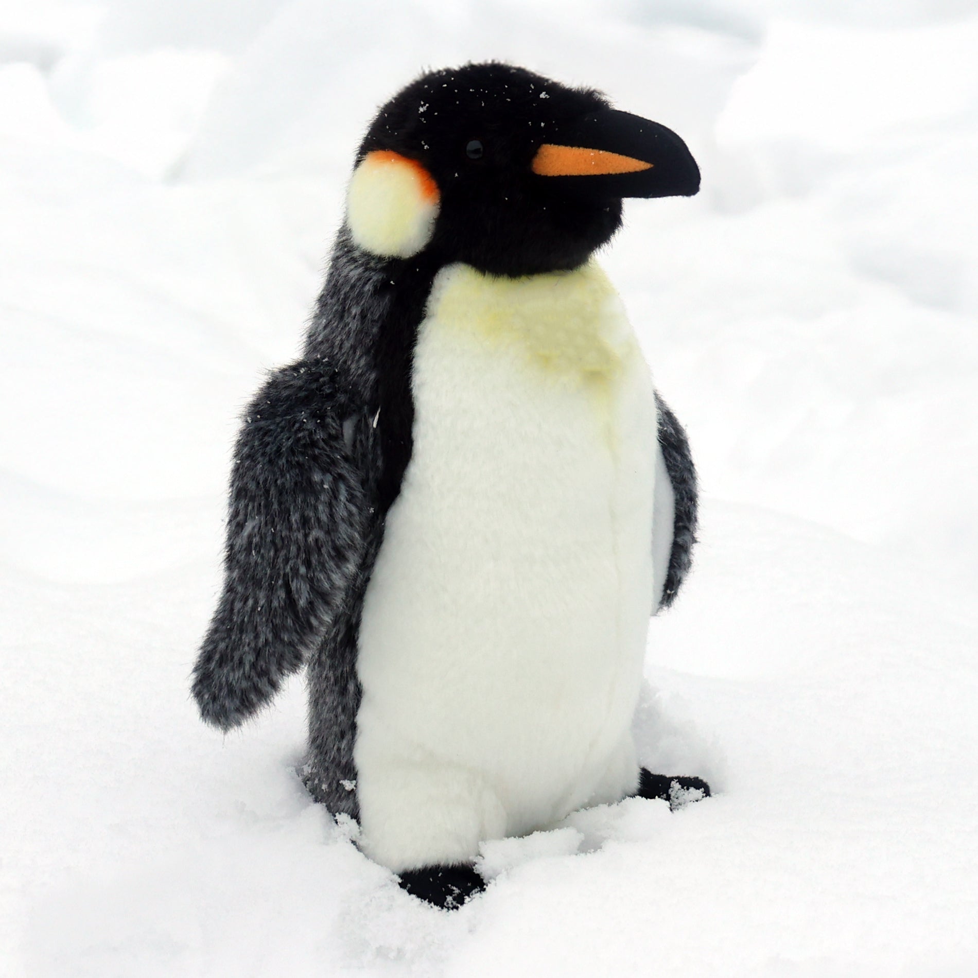 Plush penguin 27 cm