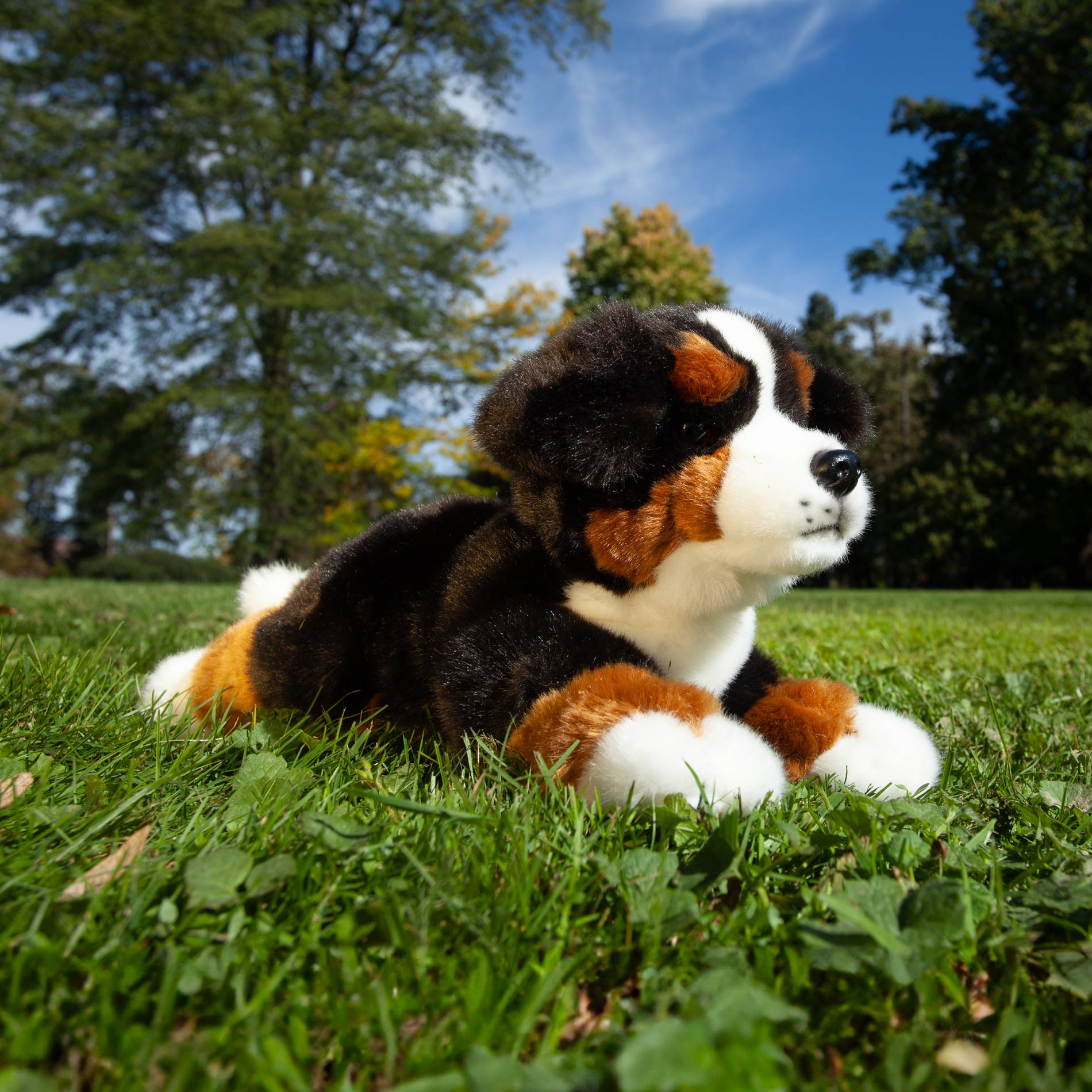 Eco-friendly plush Bernese Mountain Dog 32 cm