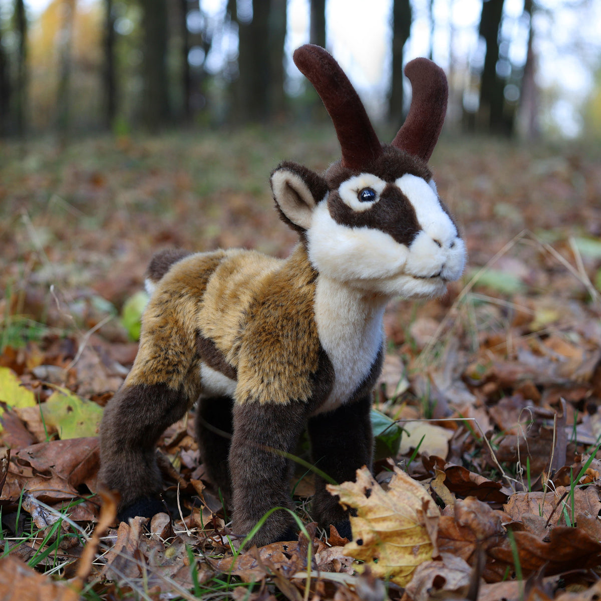 Plush Chamois 24 cm