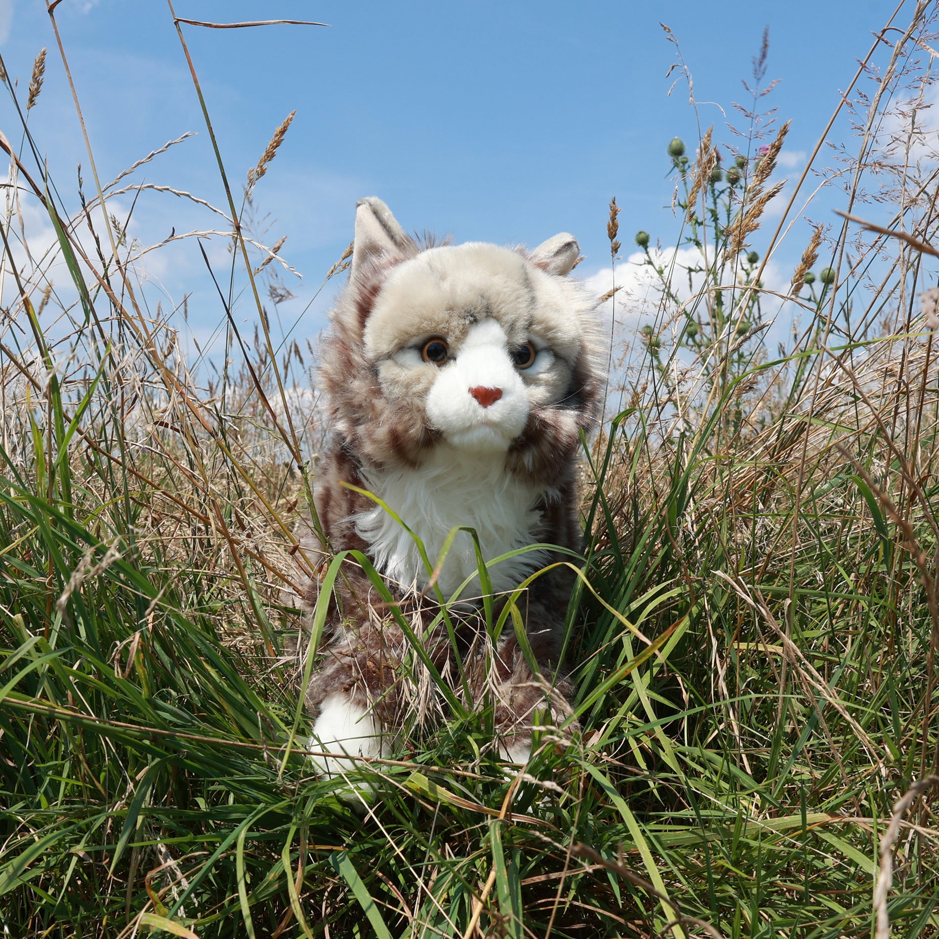 Plush Norwegian Forest Cat 45 cm