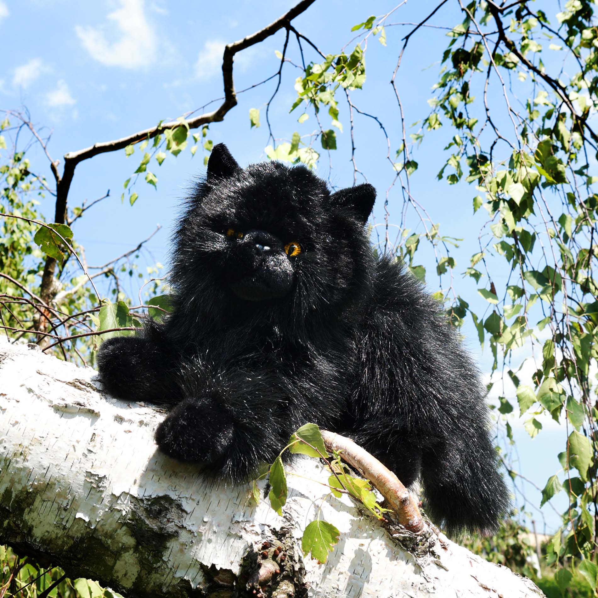 Black plush cat 30 cm