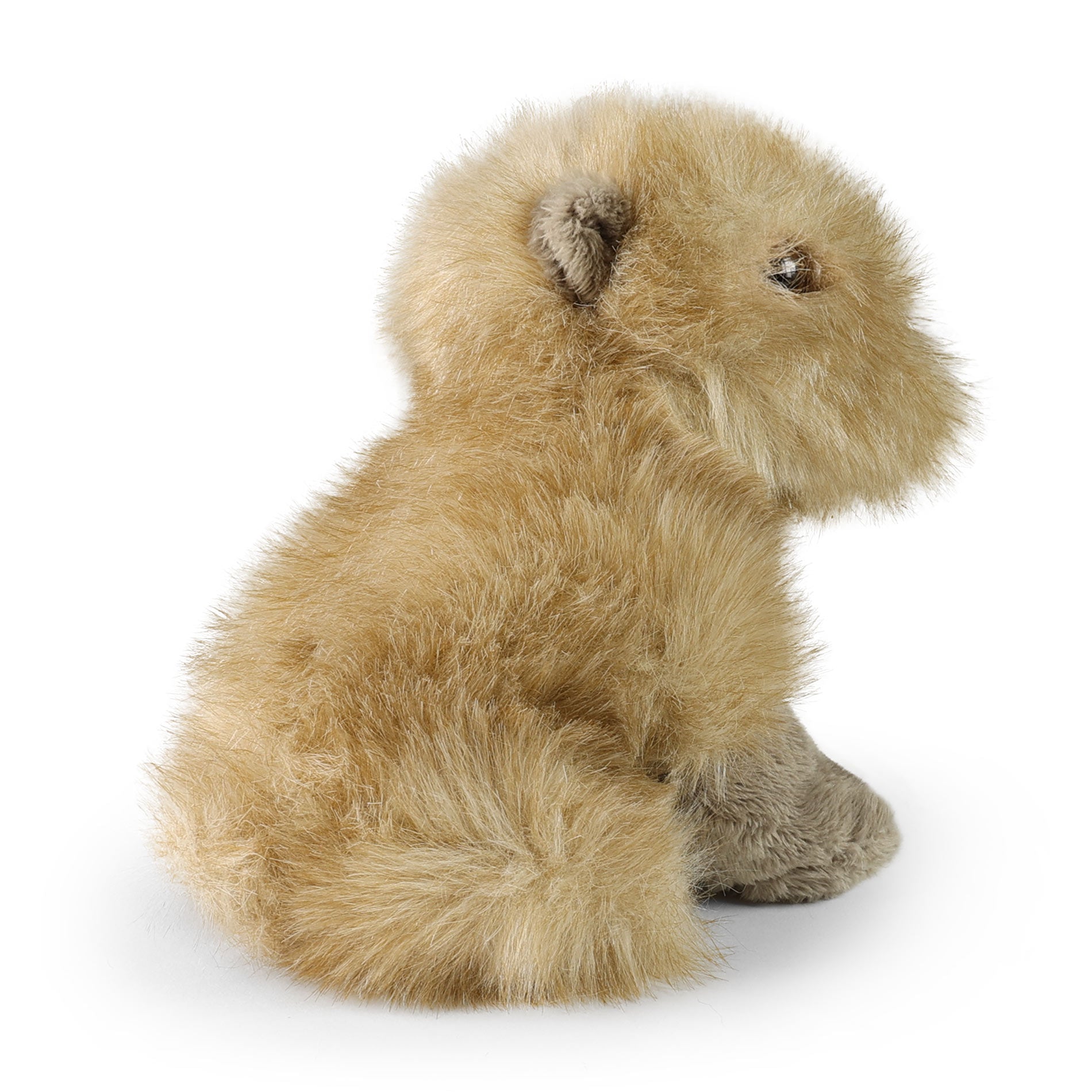 Plush capybara 18 cm