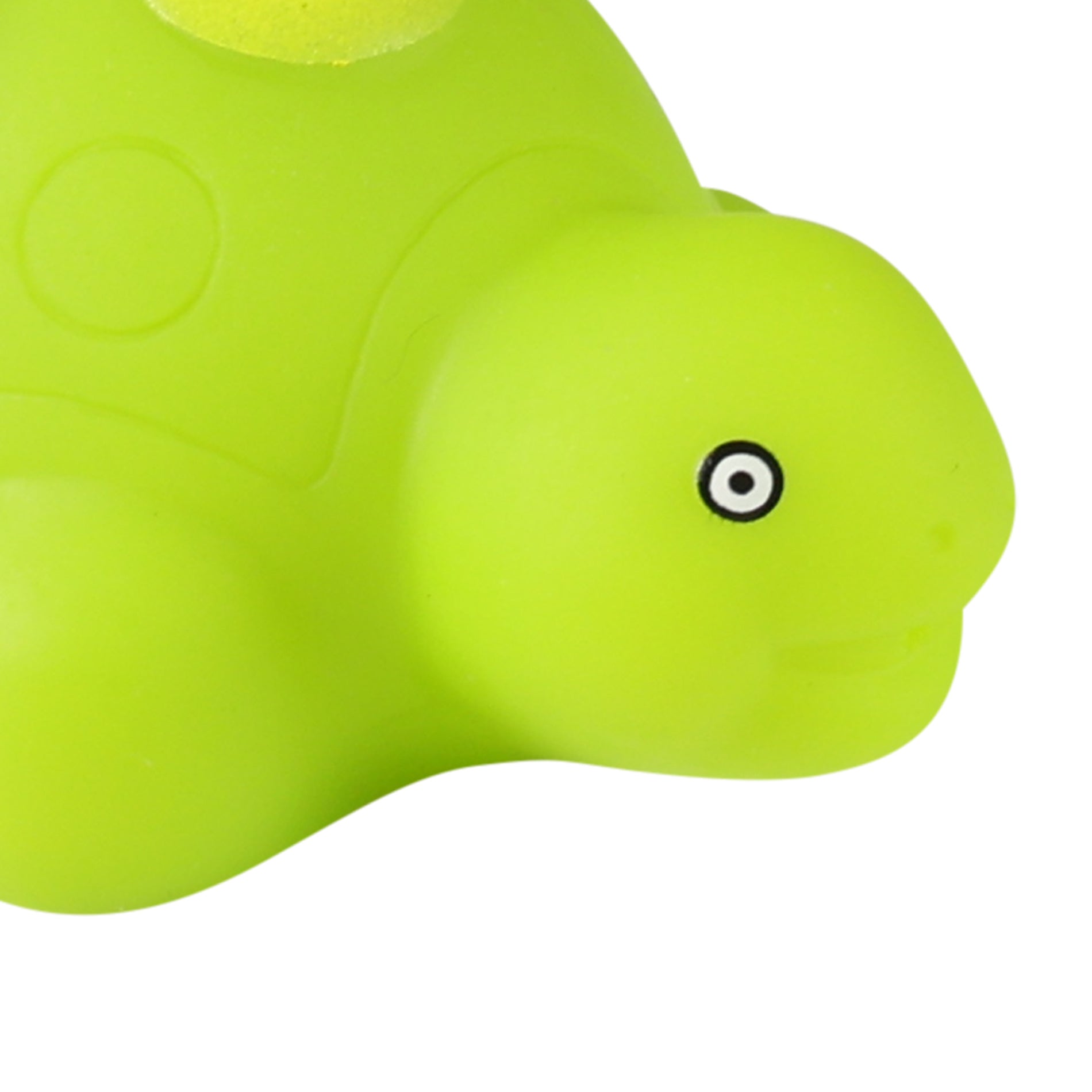 Rubber sea animal turtle