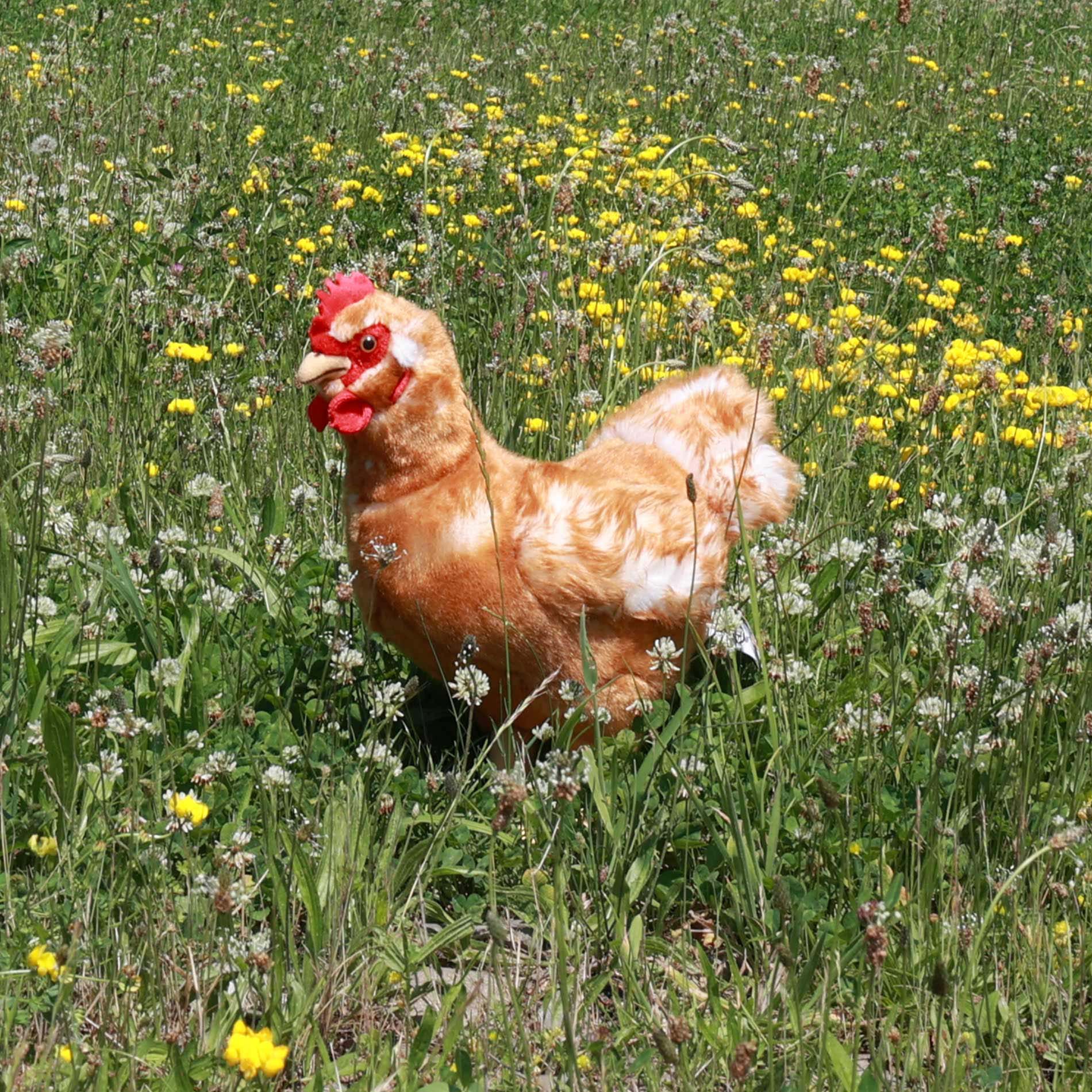 Standing Plush Chicken 33 cm with Egg