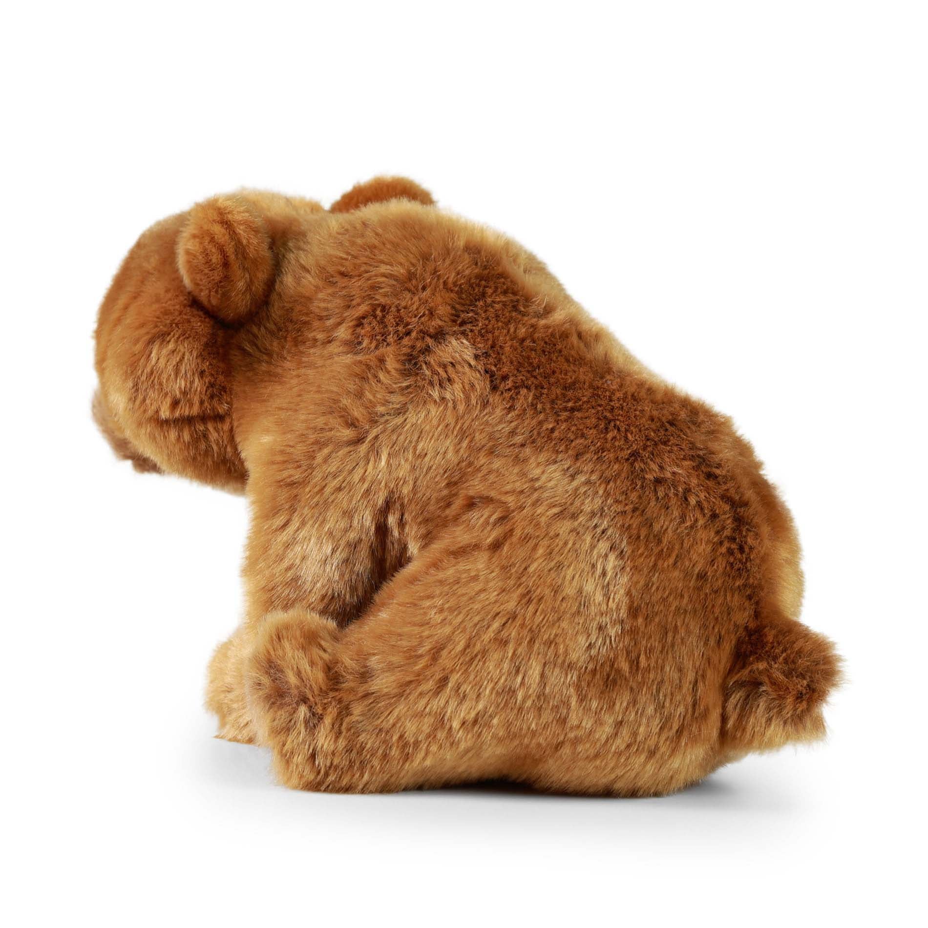Grizzly Bear Plush 30 cm