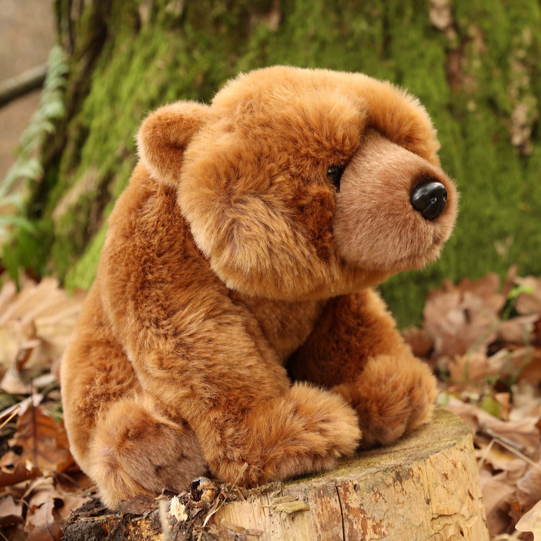 Grizzly Bear Plush 30 cm