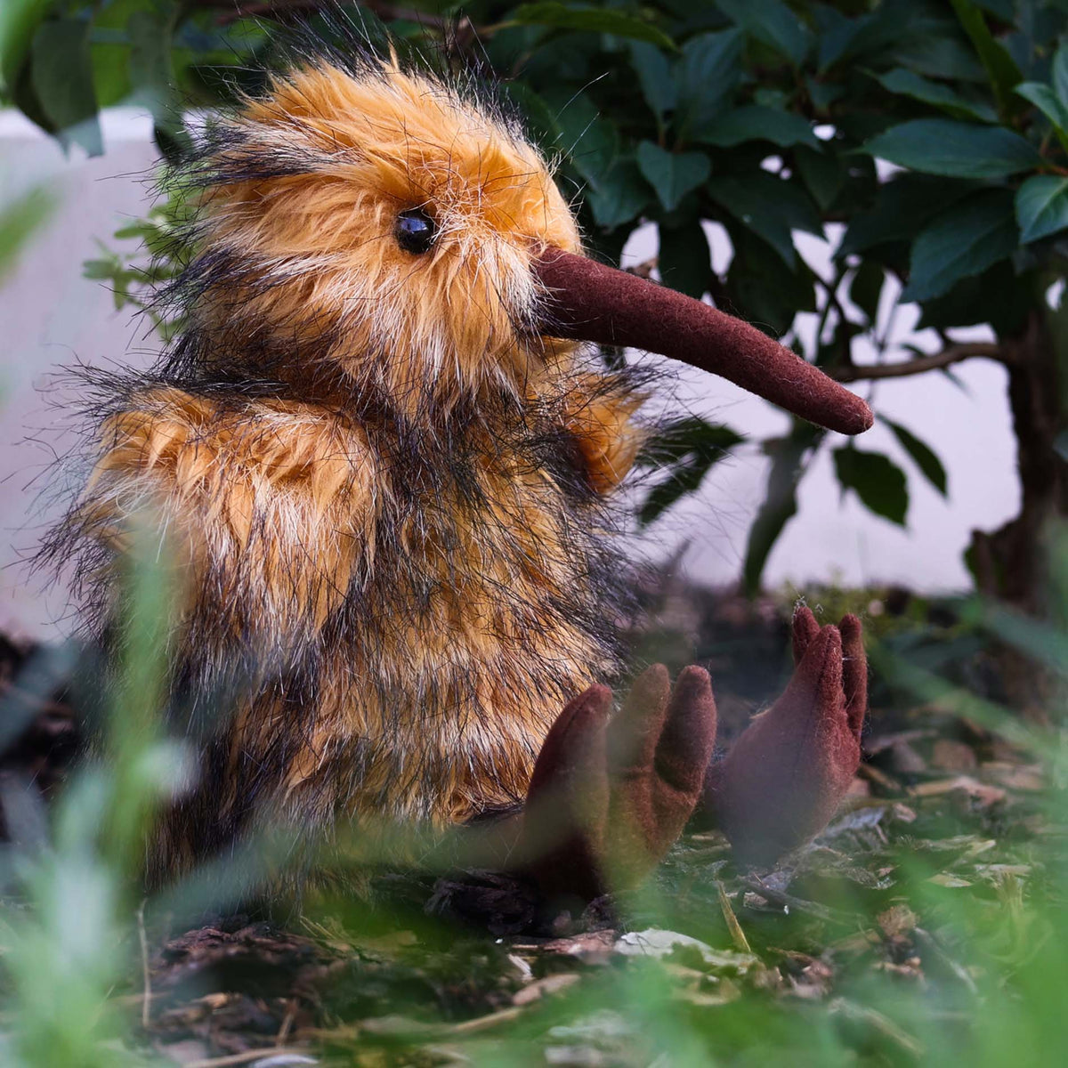 Kiwi plush bird 23 cm