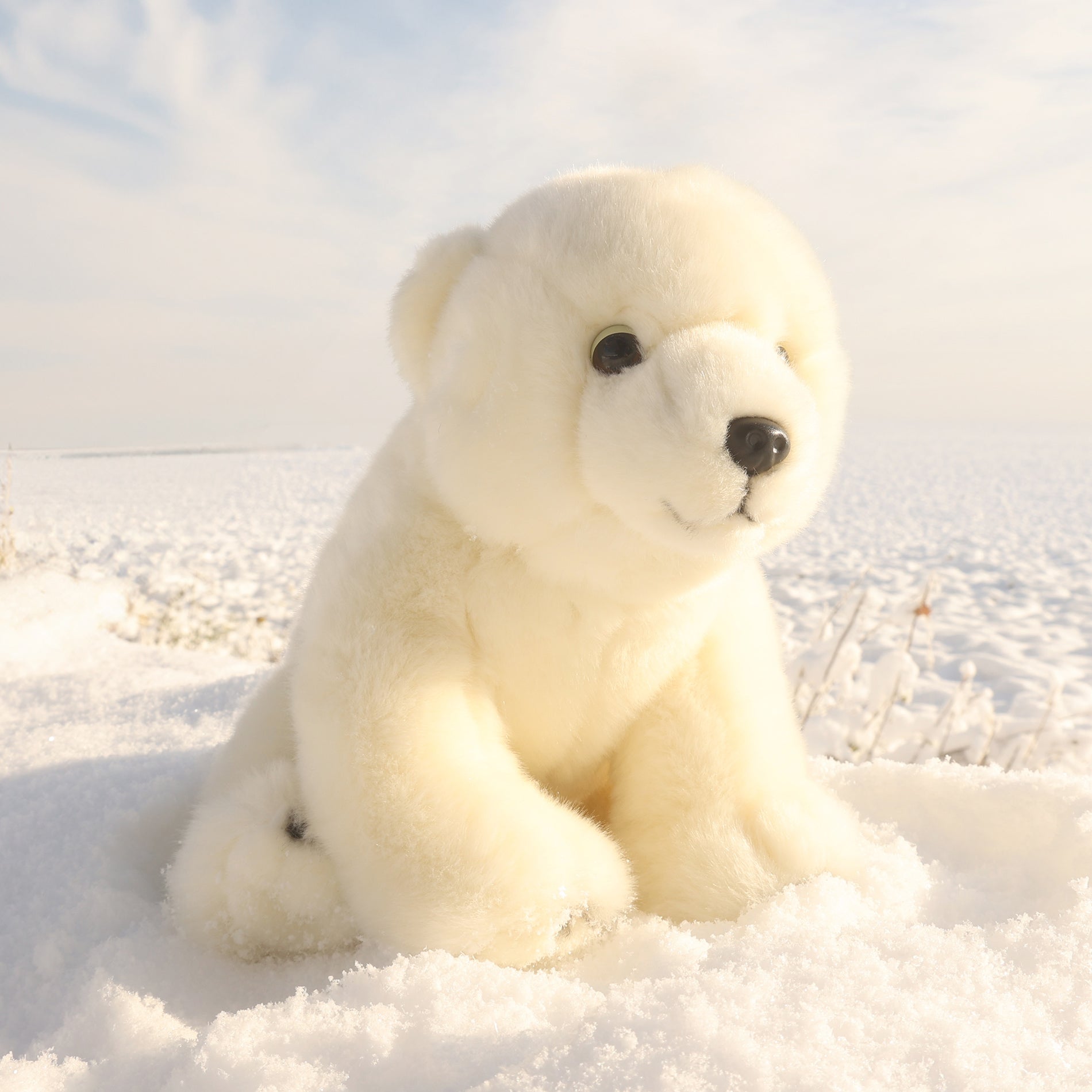 Plush polar bear 28 cm