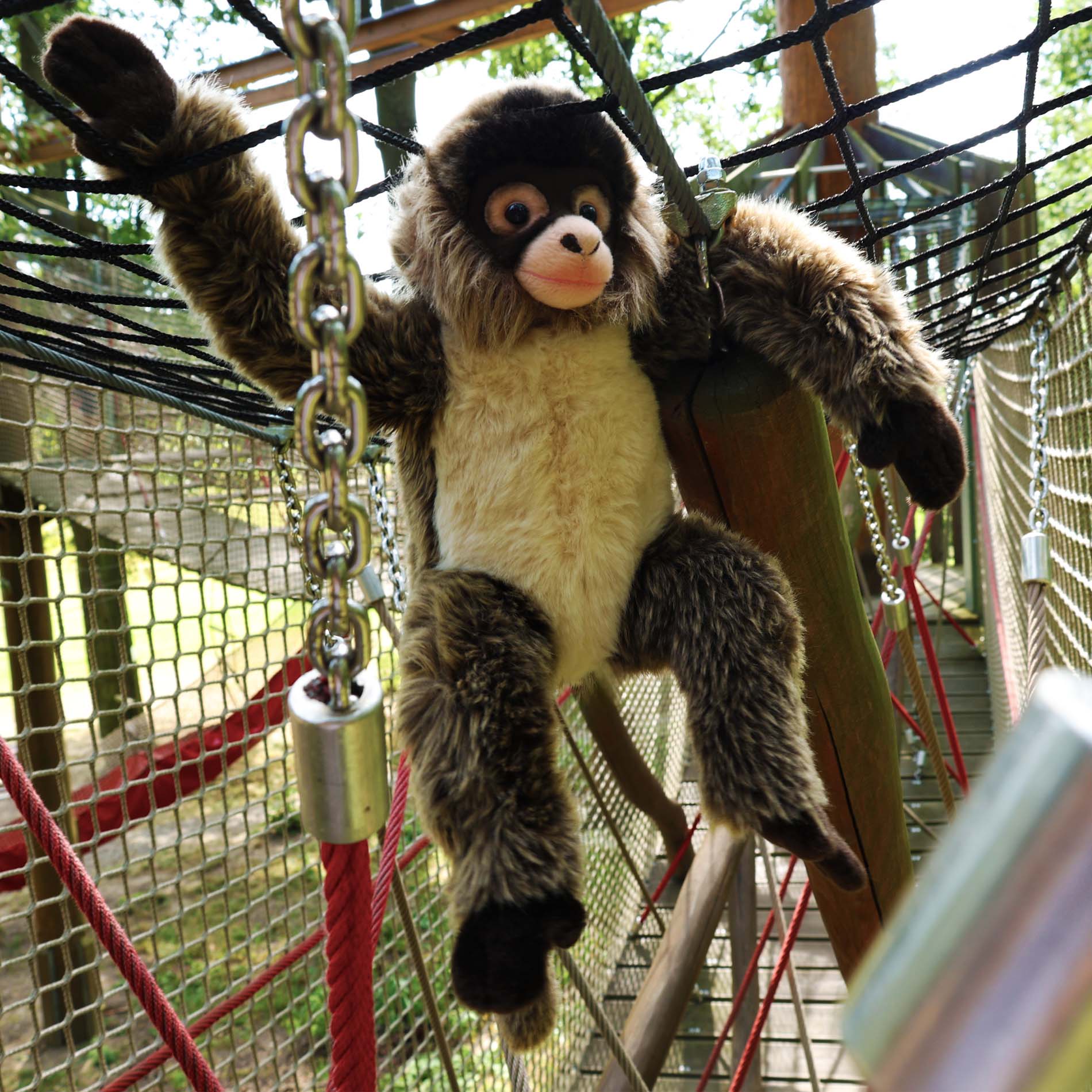 Plush capuchin monkey 30 cm
