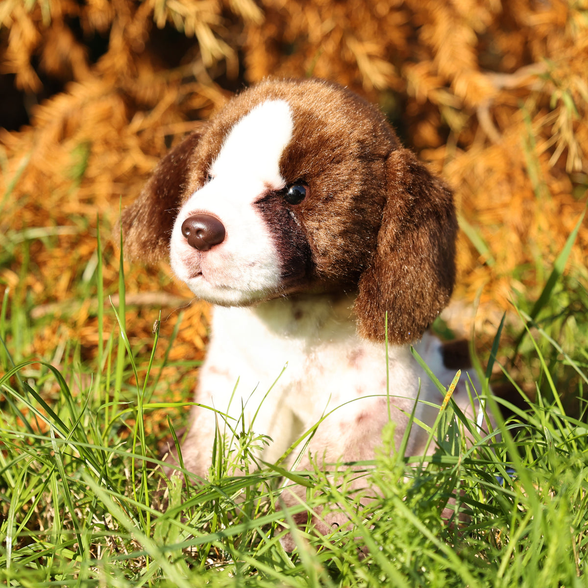Plush German Pointer 24 cm