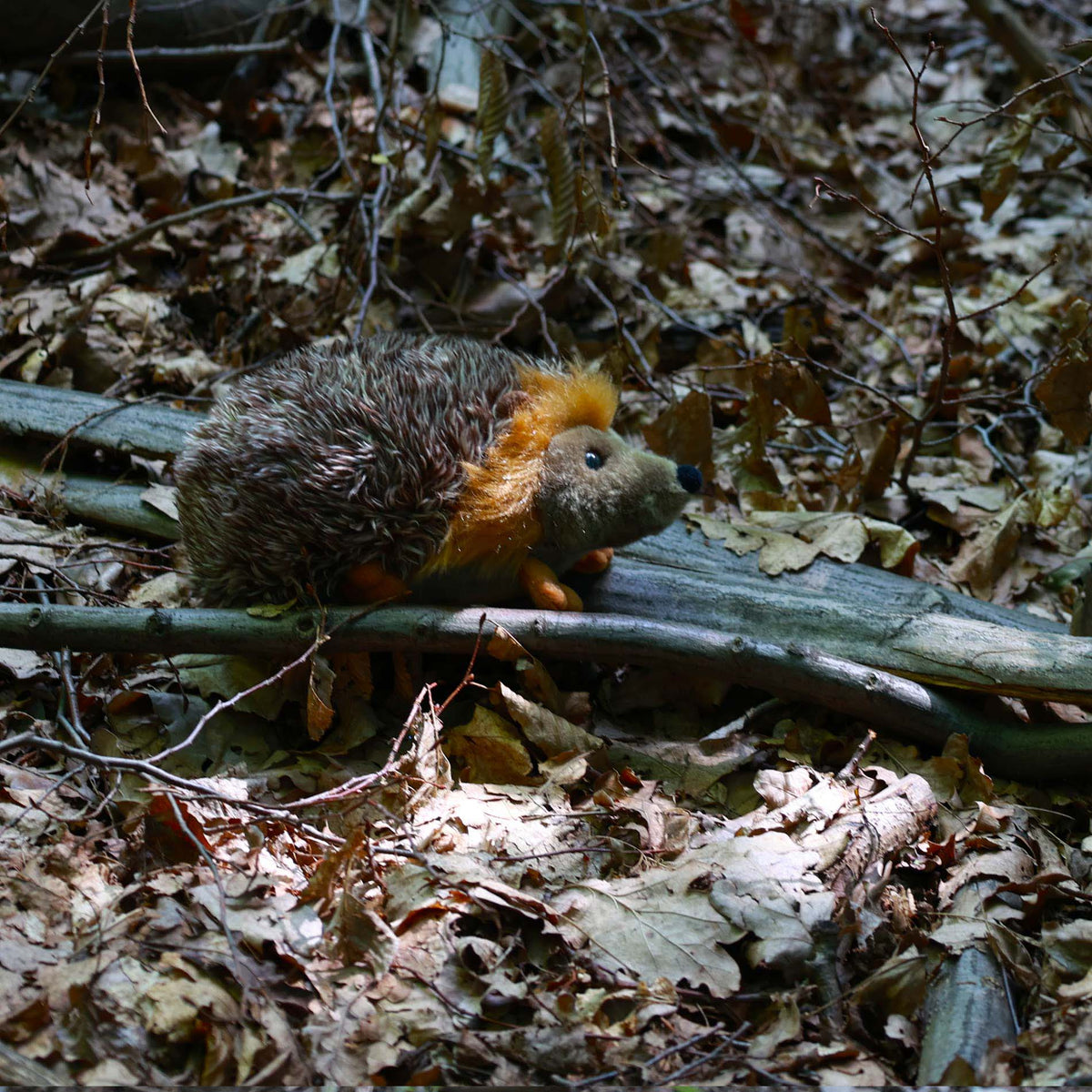 Plush hedgehog 23 cm