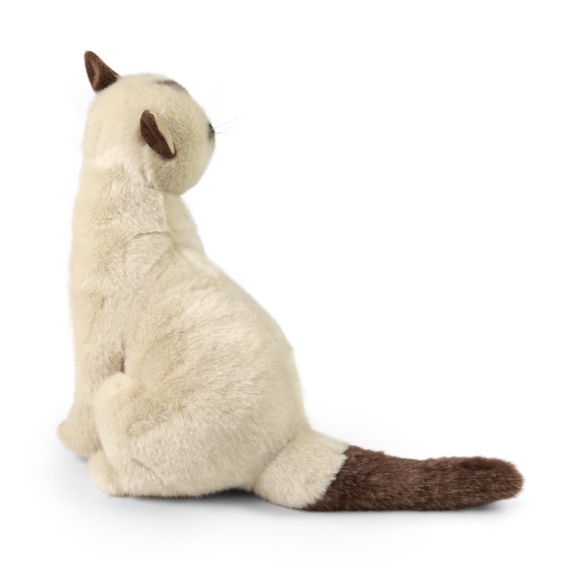 Plush Siamese cat 30 cm