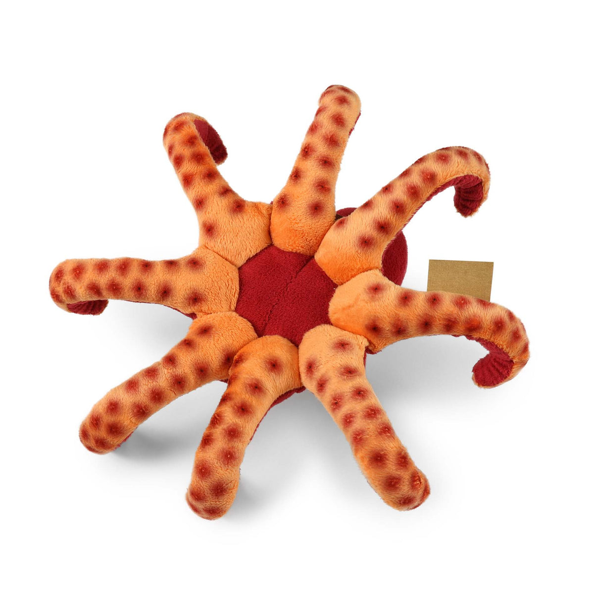 Plush octopus 26 cm