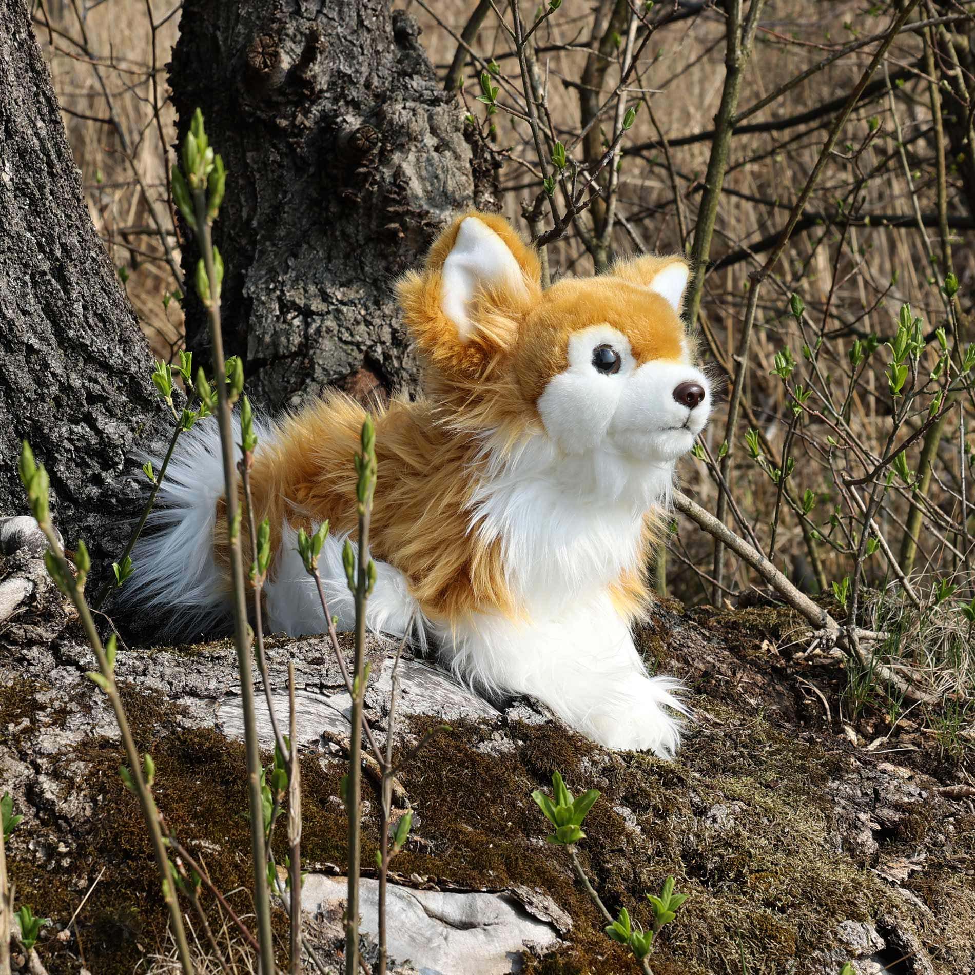 Plush Chihuahua dog 28 cm