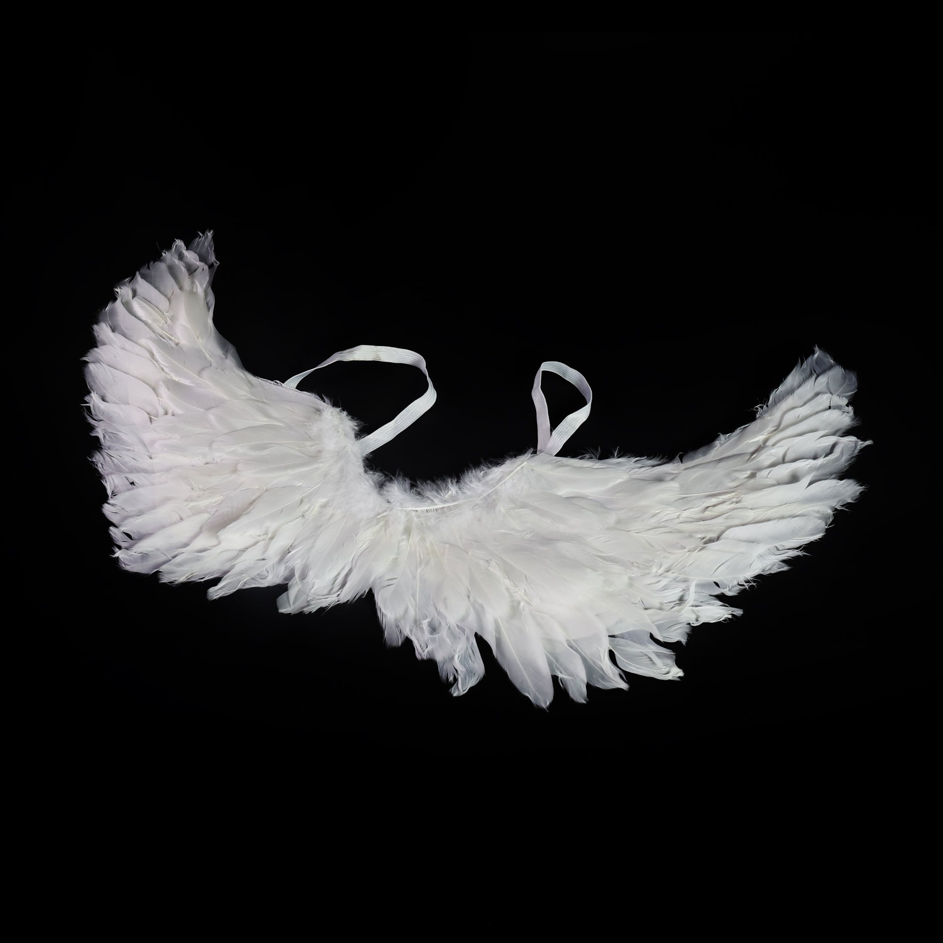 Angel wings with feathers 50 cm
