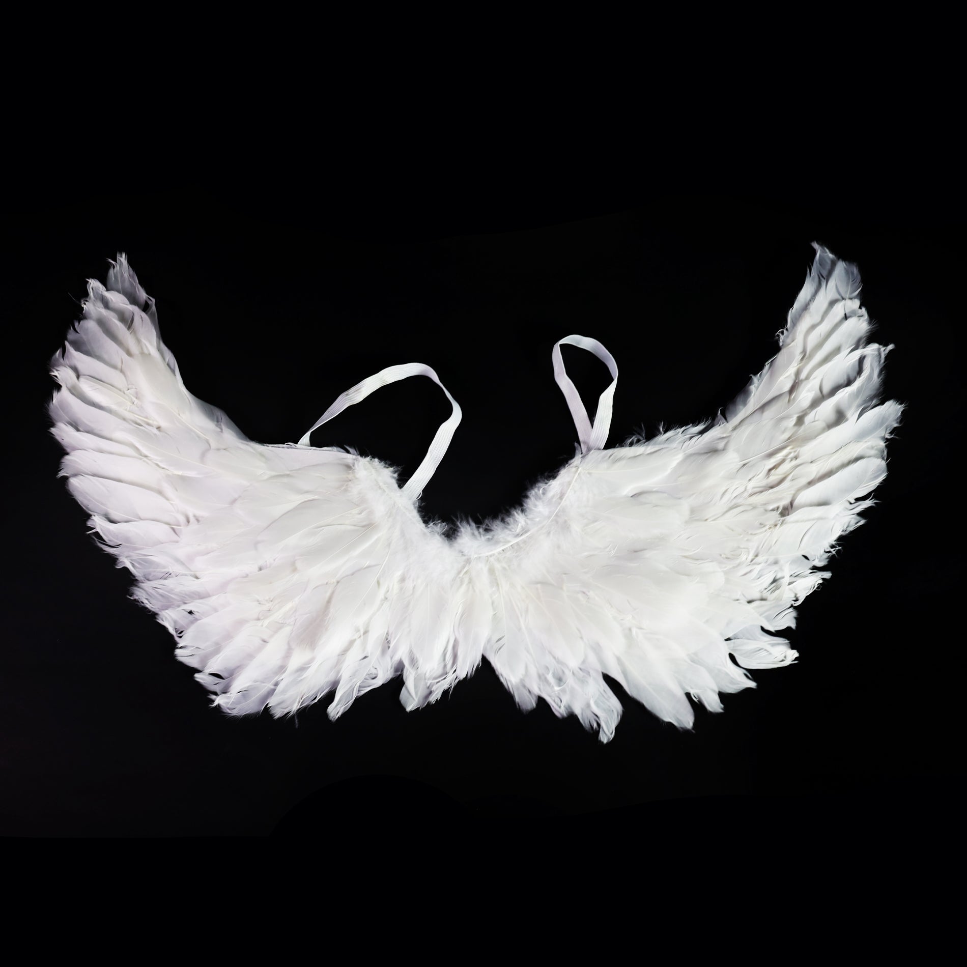 Angel wings with feathers 50 cm