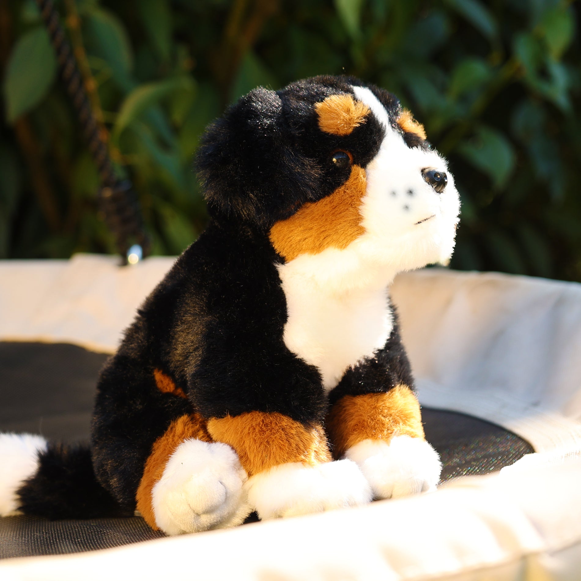 Plush Bernese Mountain Dog 23 cm