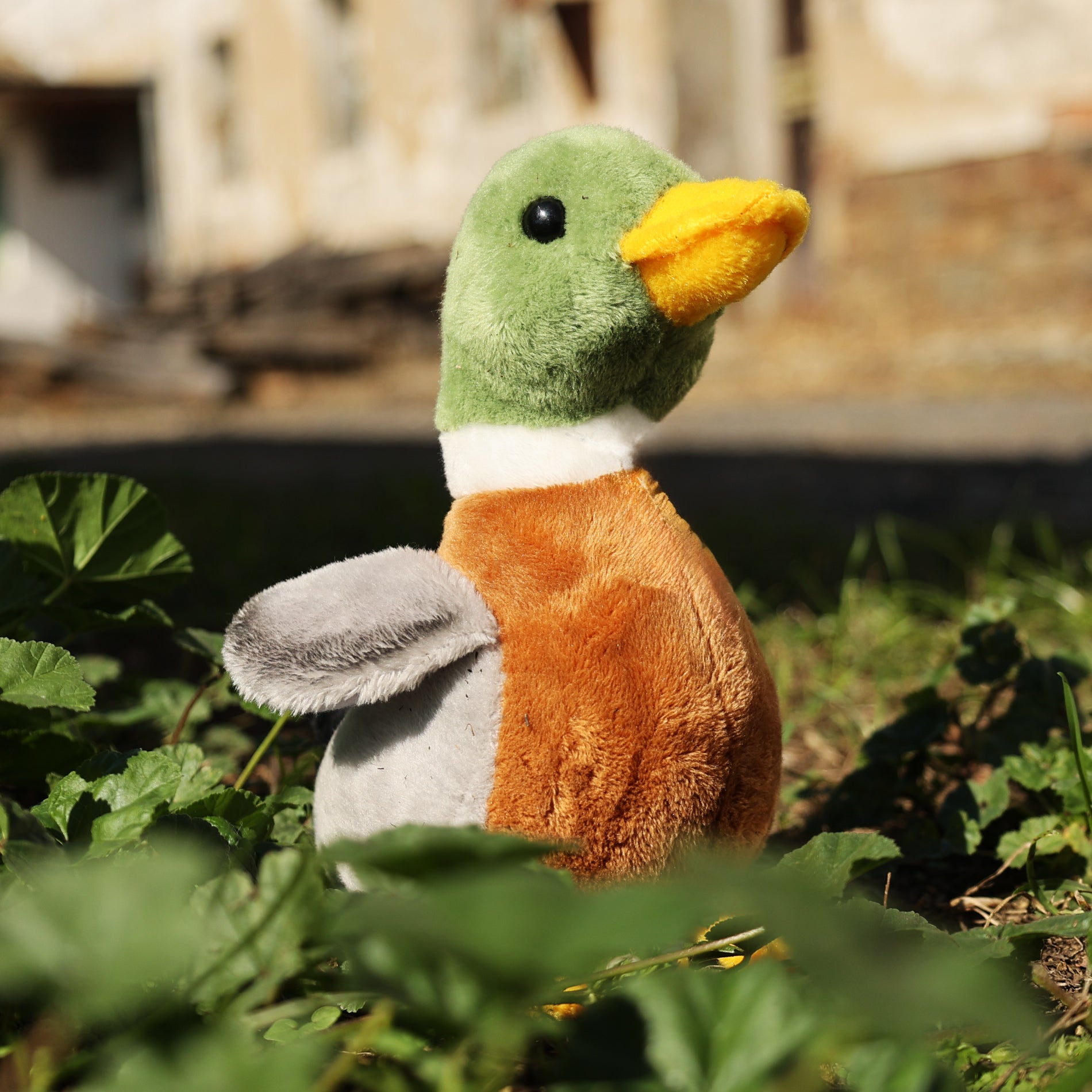Plush mallard duck 21 cm
