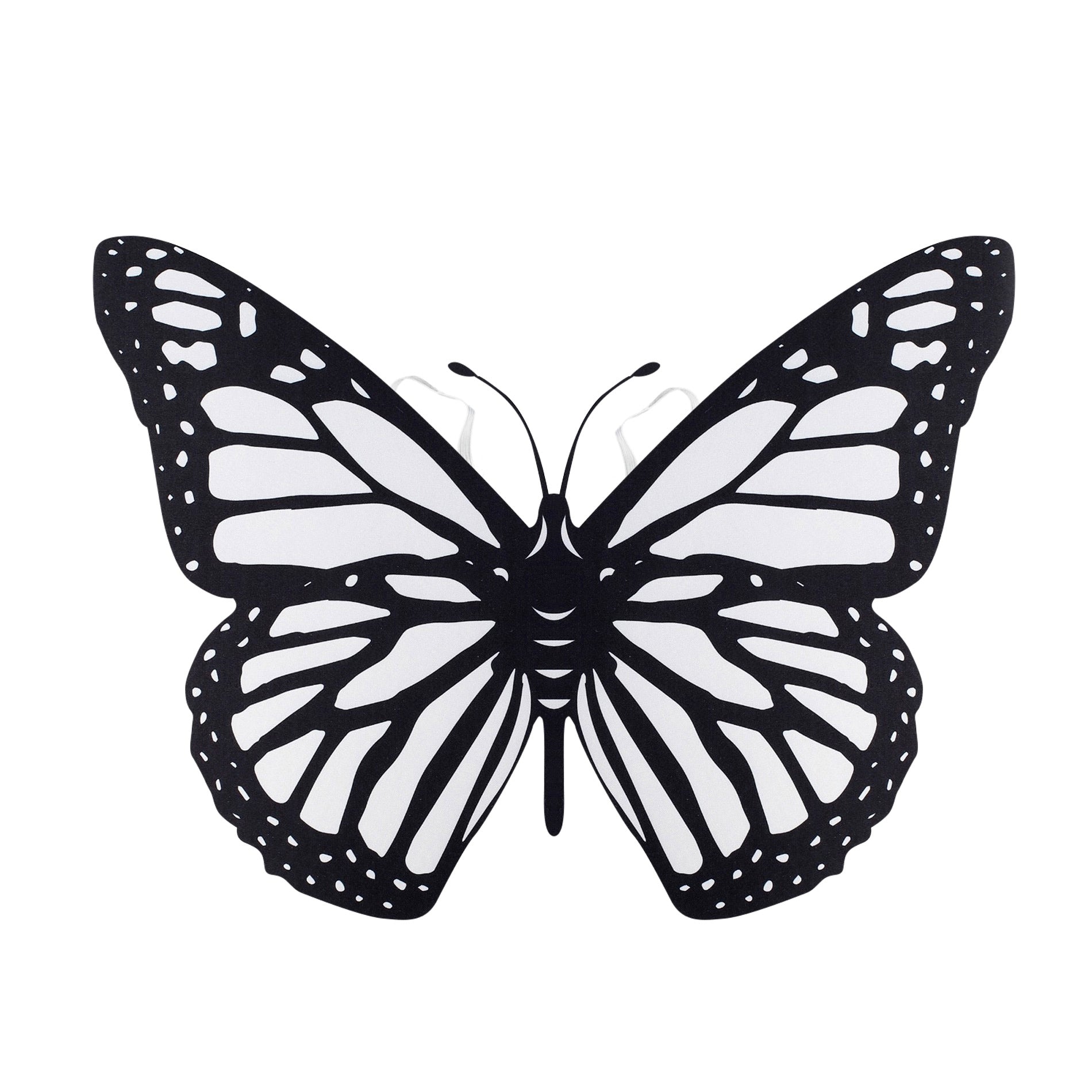 Colour-in butterfly wings with 6 markers