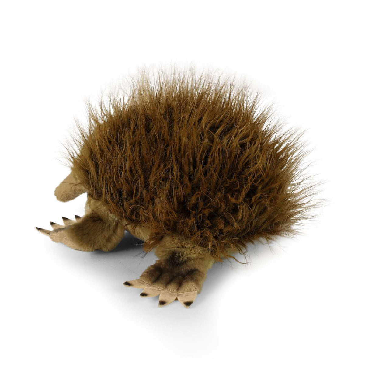 Plush Australian echidna 24 cm