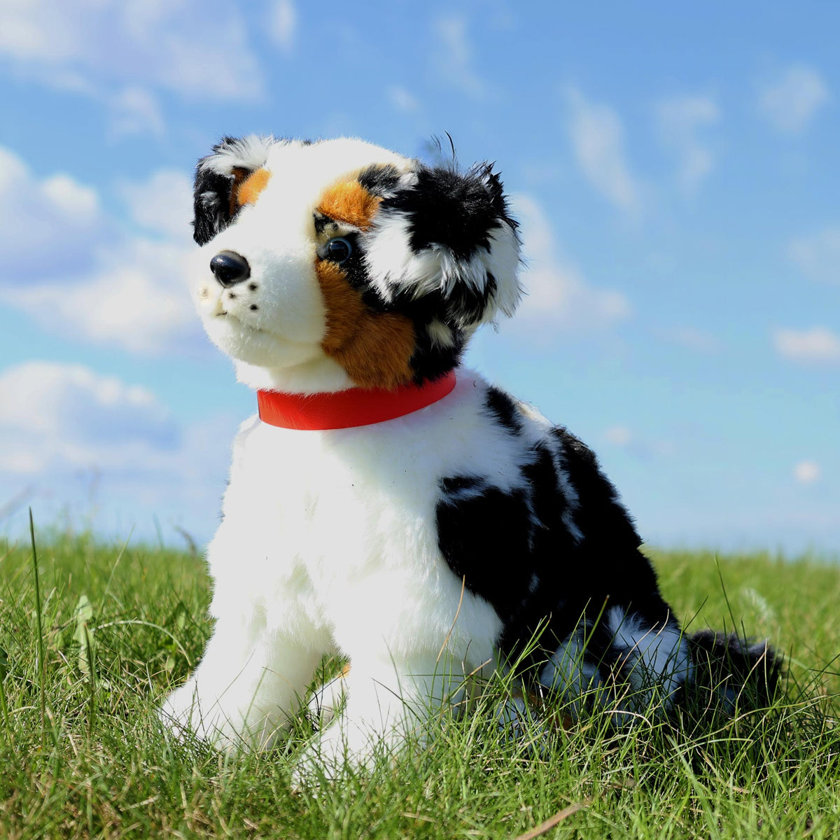 Plush Australian Shepherd Dog 35 cm