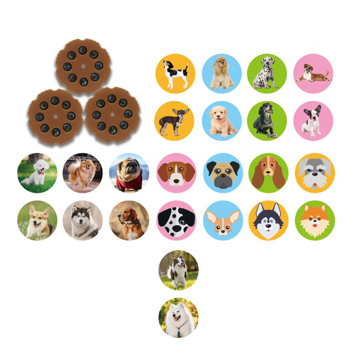 Mini projector with dog, 24 pictures