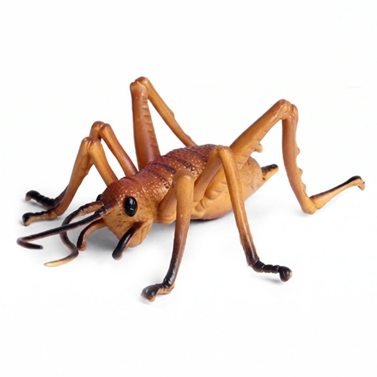 Toy cricket 10 cm