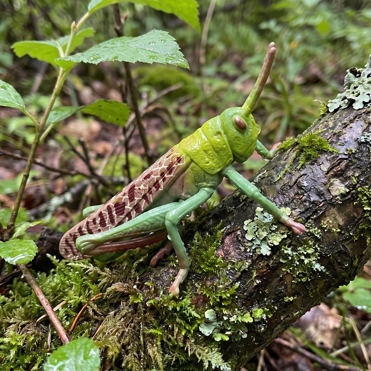 Plastic locust figure 7 cm