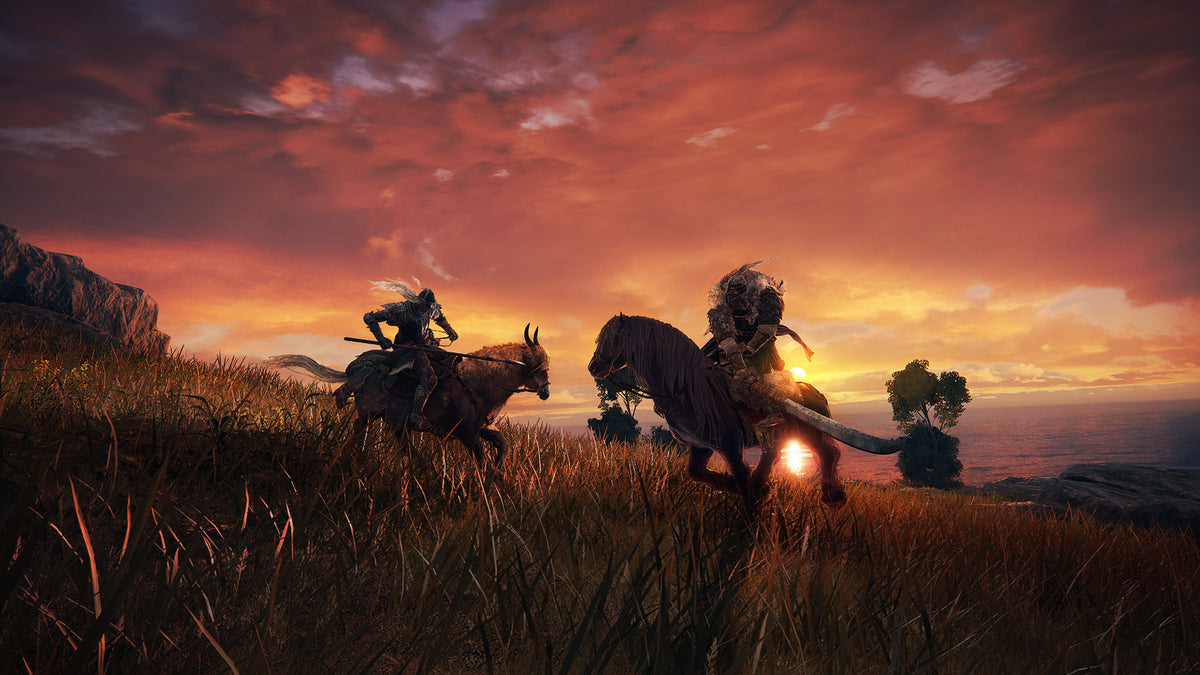 Elden Ring (Xbox One / Series X)