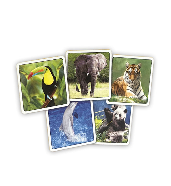 ZOO memory game in a box 32 pairs / Pexeso