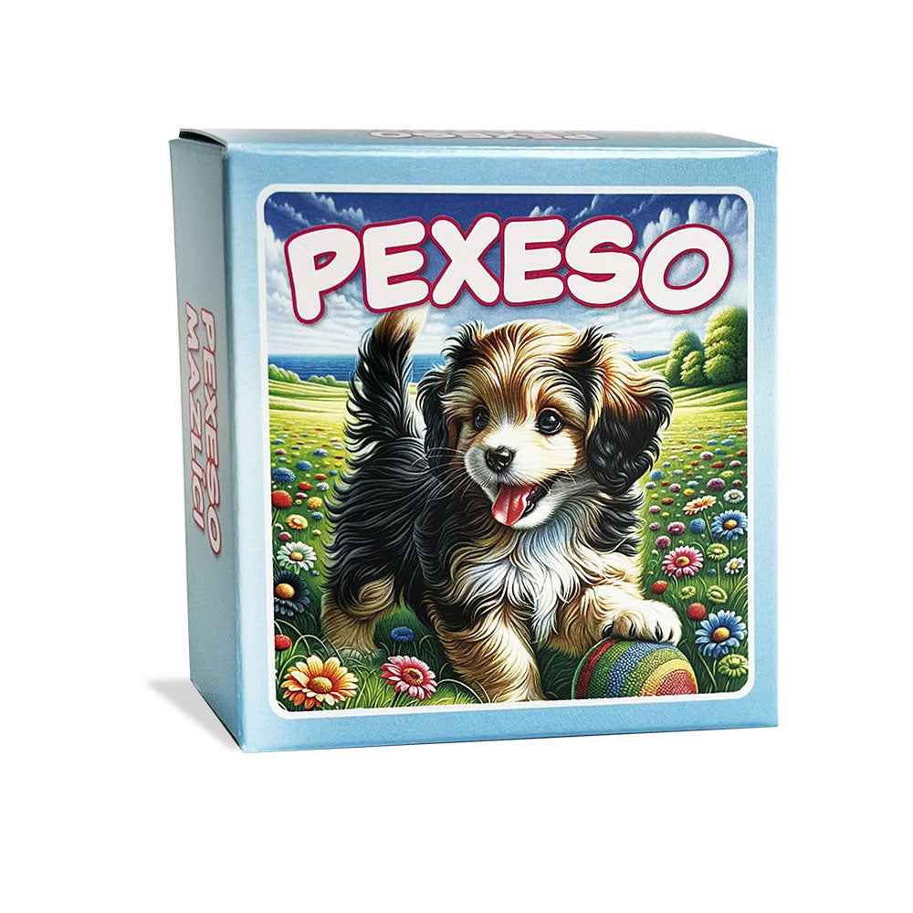 Pet memory game in blue box / Pexeso