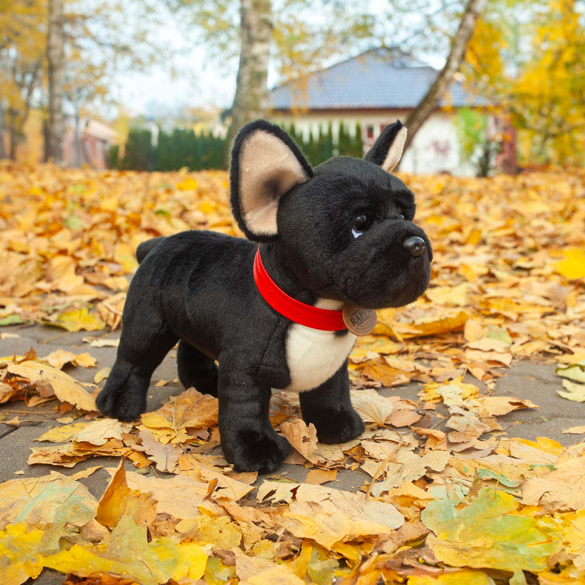 French Bulldog plush toy with collar 30 cm