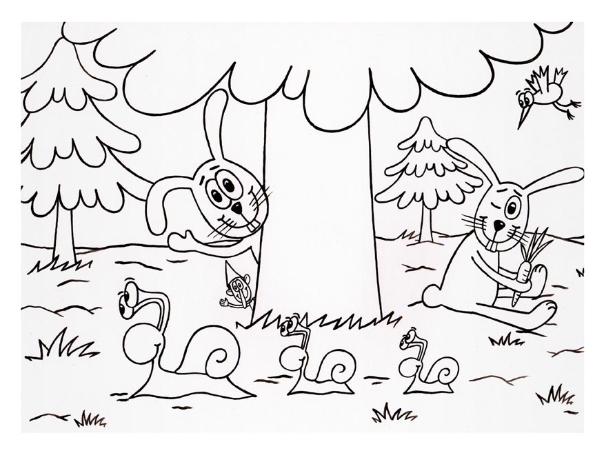 Forest Animals Colouring Book