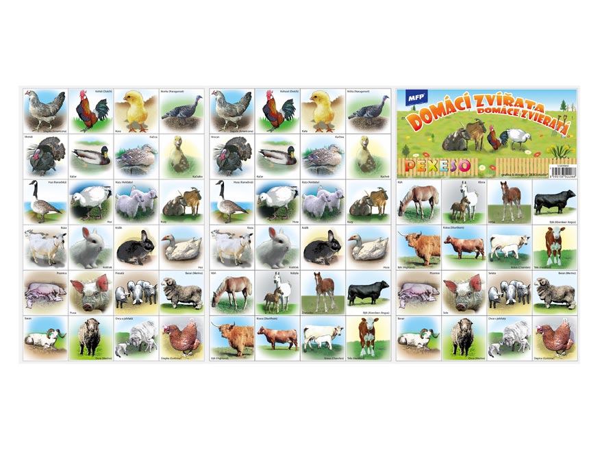 MFP memory game 3xA4 Domestic Animals