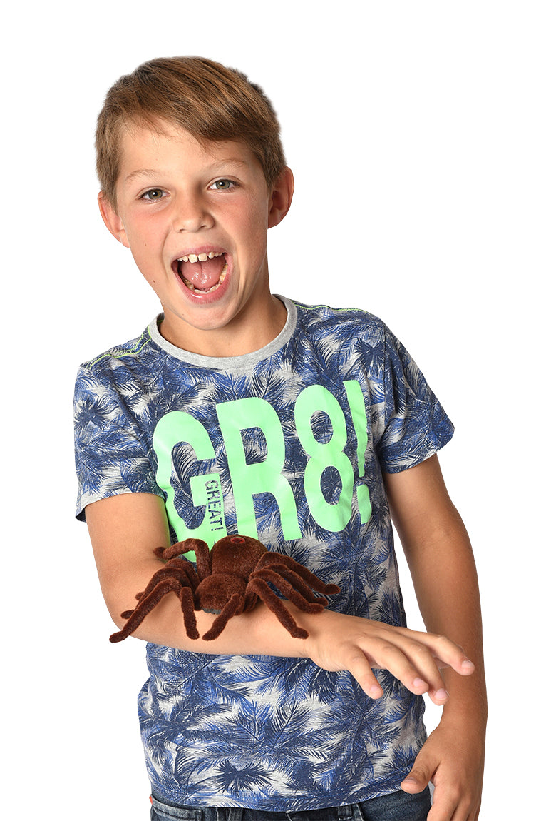 MAGANA Remote-Control Spider