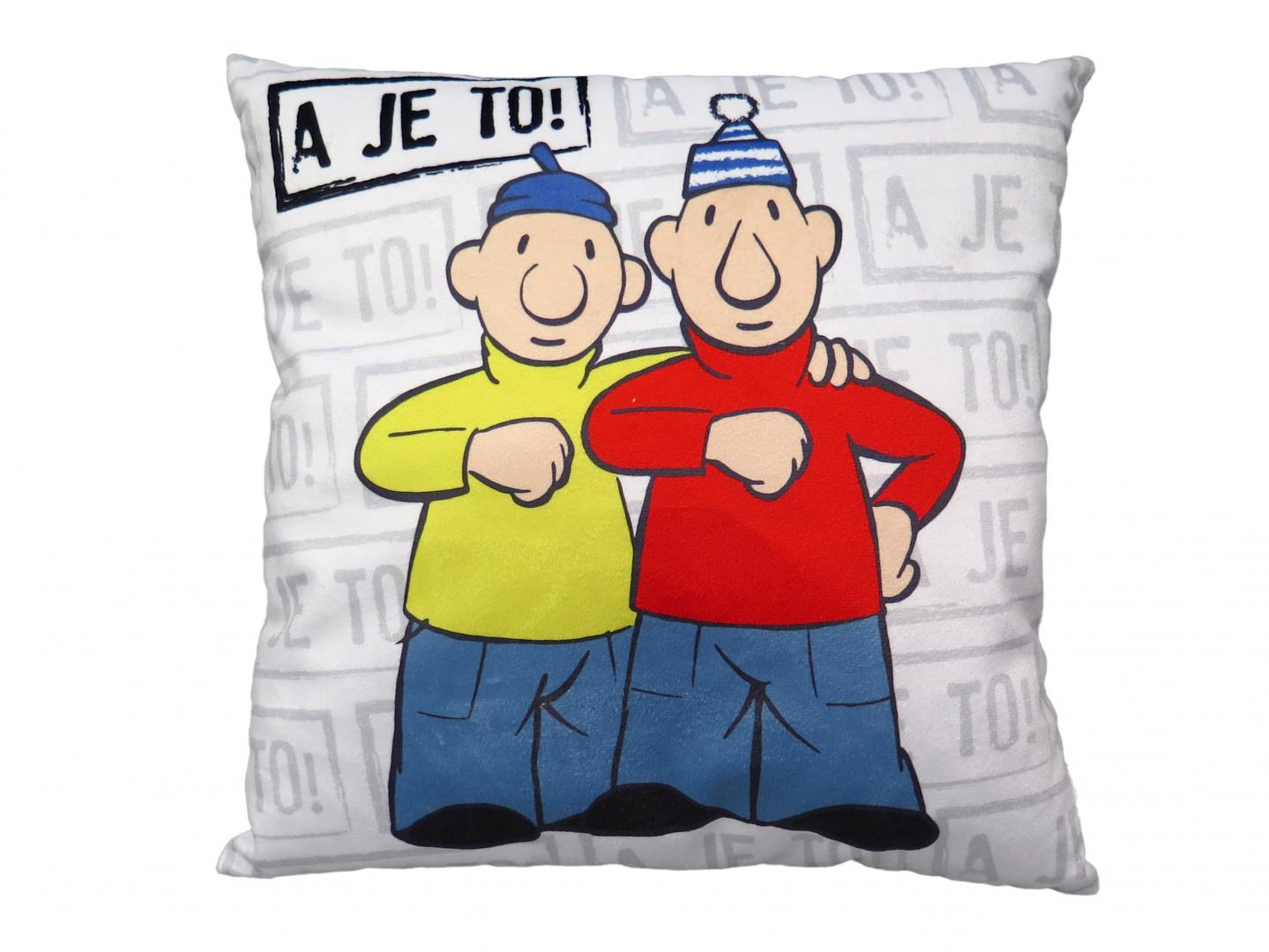 Pillow 30x30 cm, Pat and Mat, That's it!