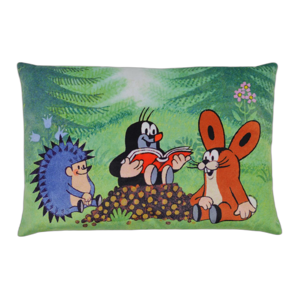 Little Mole pillow 32×21 cm, readers