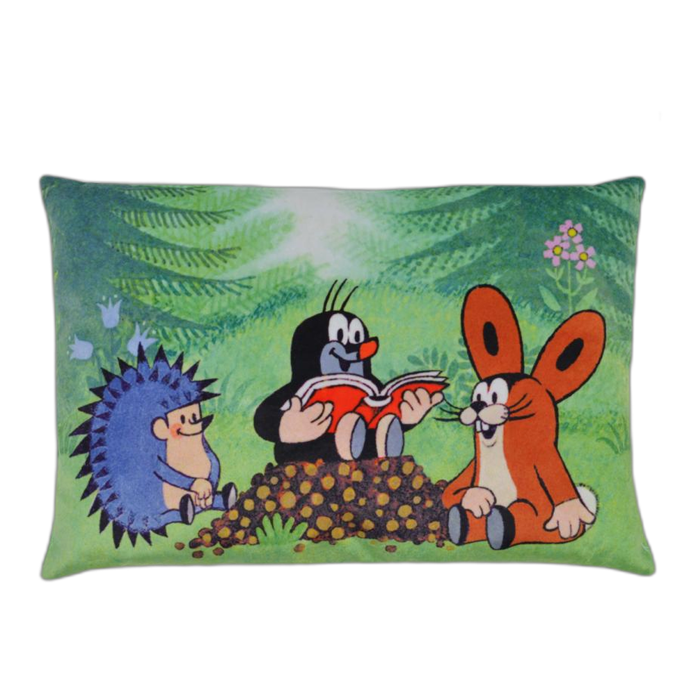 Little Mole pillow 32×21 cm, readers
