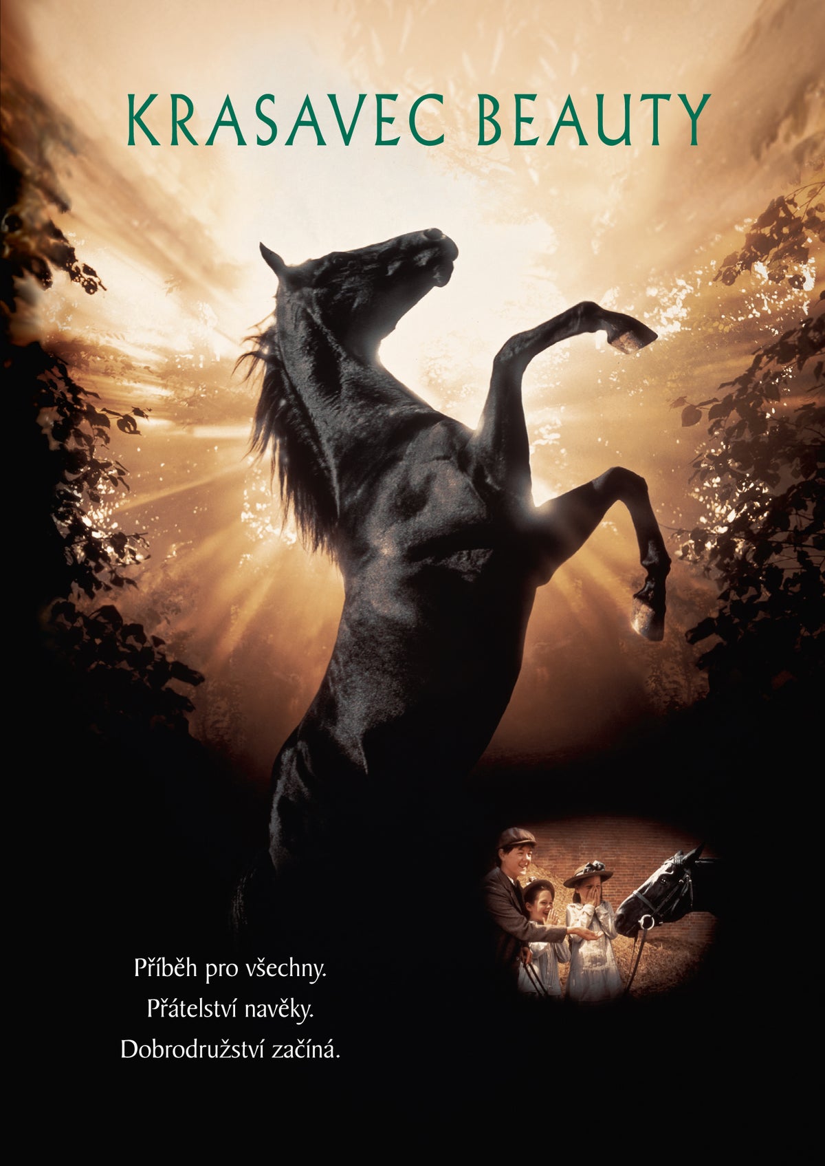 Black Beauty / Krasavec Beauty DVD
