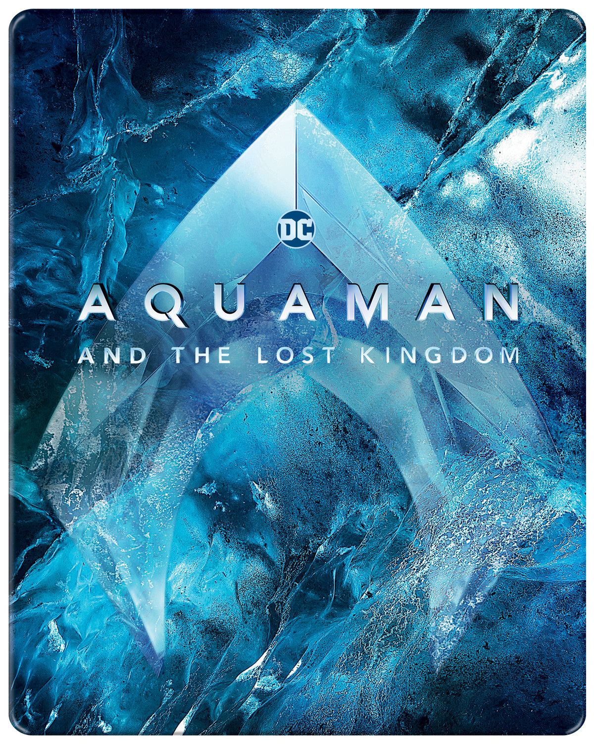 Aquaman and the Lost Kingdom / Aquaman a ztracene kralovstvi - - motiv Icon 4K Ultra HD + Blu-ray Steelbook