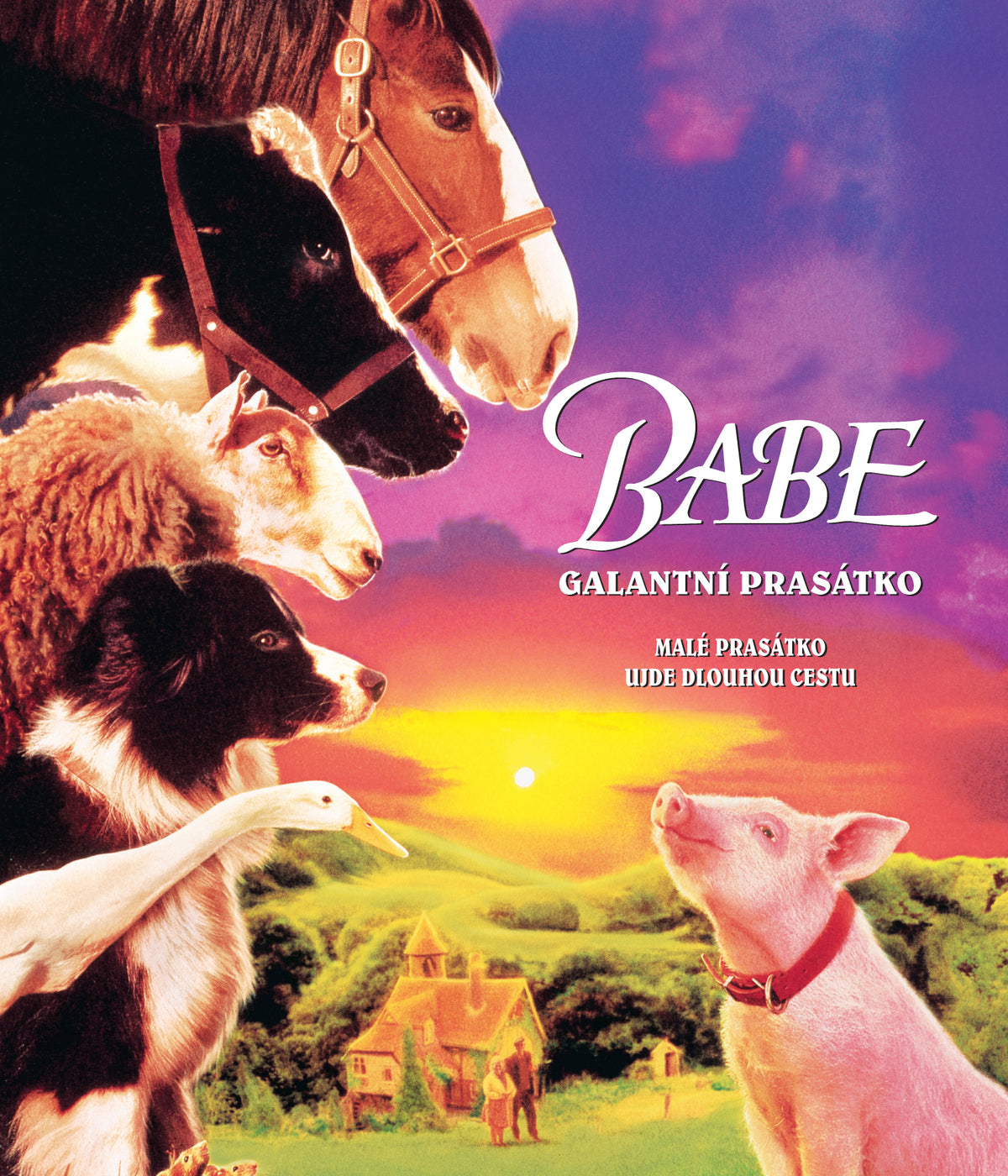 Babe / Babe: Galantni prasatko Blu-ray